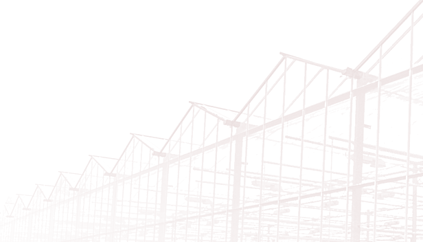 恒峰g22(国际)官网入口-天天有惊喜