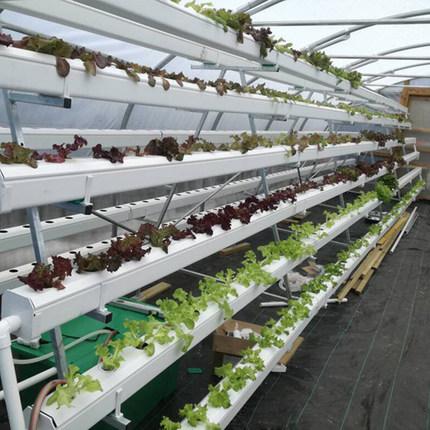 恒峰g22(国际)官网入口-天天有惊喜