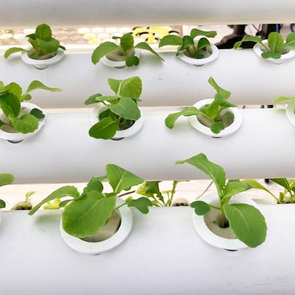 恒峰g22(国际)官网入口-天天有惊喜