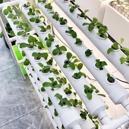 恒峰g22(国际)官网入口-天天有惊喜