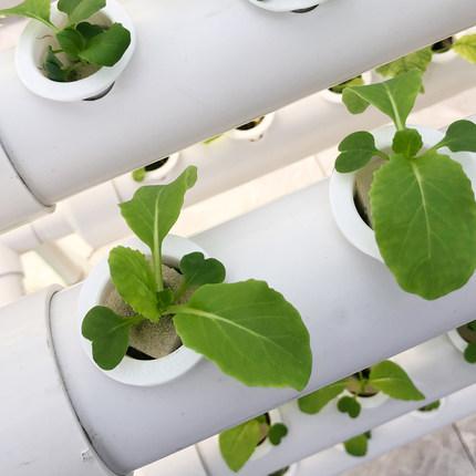 恒峰g22(国际)官网入口-天天有惊喜